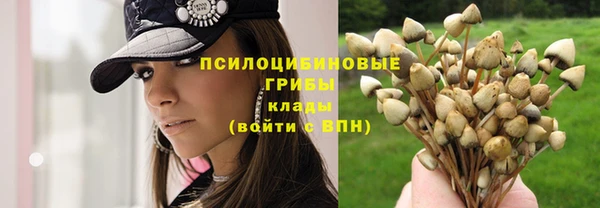 хмурый Алексеевка