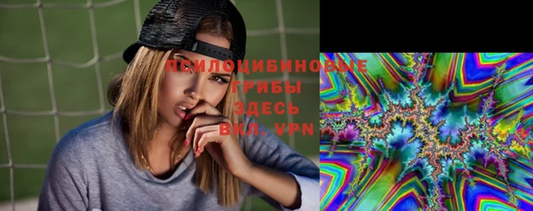 a pvp Арсеньев